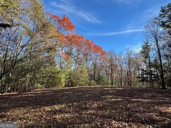 0 John Call Rd, Ellijay, GA 30536