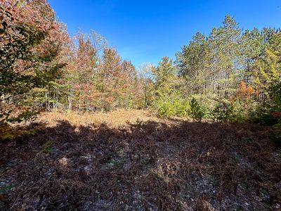 10 V/l N, Mancelona, MI, 49659