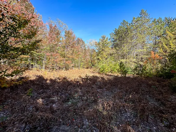 10 V/l N, Mancelona, MI 49659