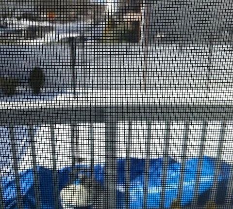 5th image of 144 Shotwell Ave