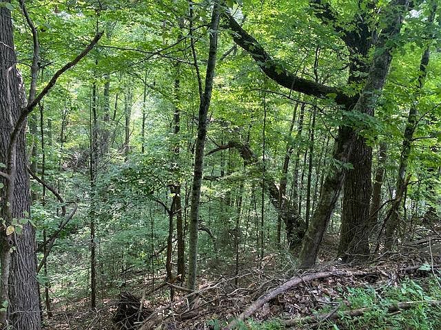 2nd image of LOT 564 Silver Poplar Ln