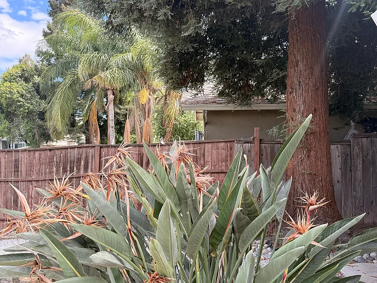 7134 Lighthouse Dr — Photo 15