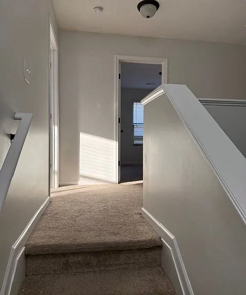313 Clover Brook Dr — Photo 21