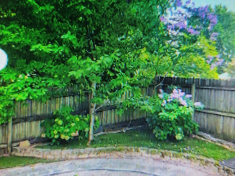 5409 Branchwood Way — Photo 29