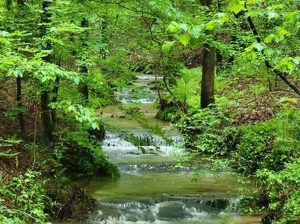 2 Brushy Mountain Way, Rockmart, GA 30153