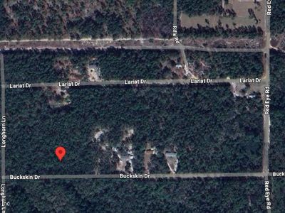 122 BUCKSKIN Drive, Florahome, FL, 32140