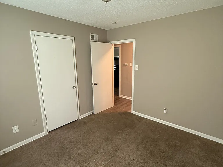 3386 Spring Water Cv — Photo 16