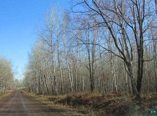 48XX Munger Shaw Rd, Saginaw, MN 55779