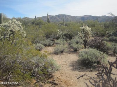 Xx Cathy Ln #40AC, Marana, AZ, 85658