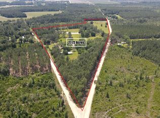 293 Mobile River Rd, Alma, GA 31510