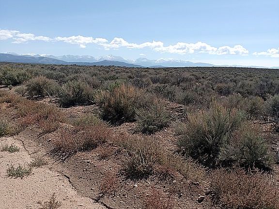 3rd image of 2 W Gila Dr