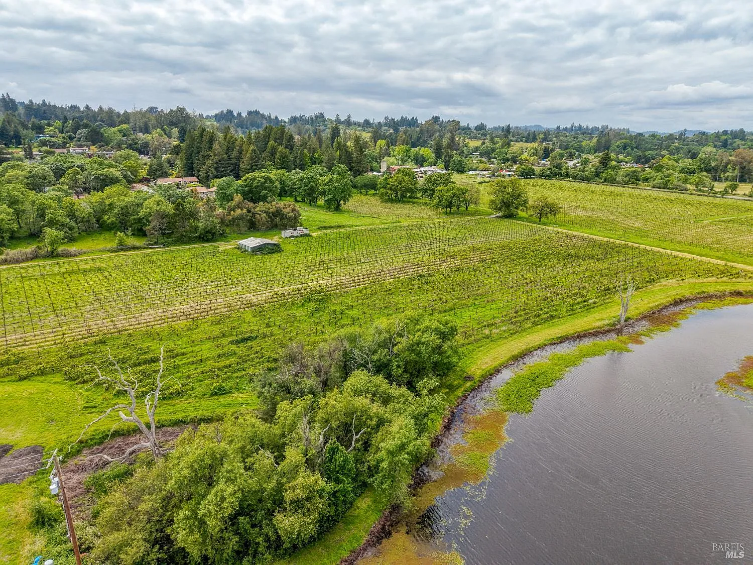 9700 Mill Station Road - Photo 10