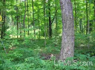 Tbd Engman Lk, Skandia, MI 49885