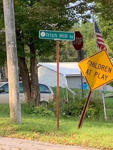 Irish Hill Rd, Berne, NY, 12023