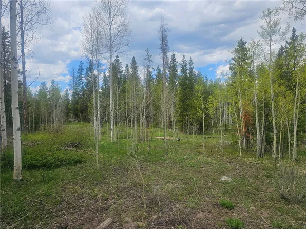 TBD Cody Trail, Oak Creek, CO 80467