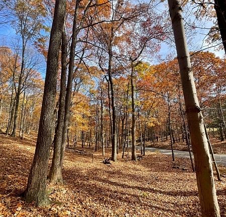 2nd image of 924 Middleville Rd