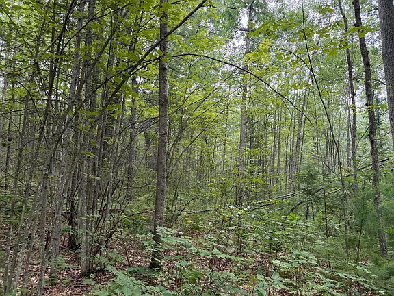 2nd image of 12055 State Highway 33