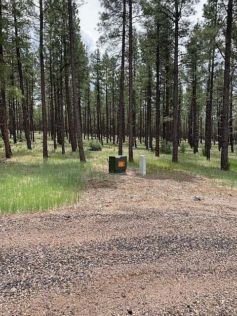 2nd image of 327 Gold Mine Dr