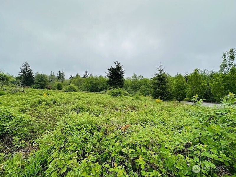 3rd image of 4311 Bethel Road SE