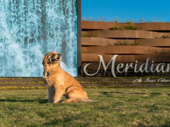 Riverdale - Courtyard Collection Plan, Meridiana