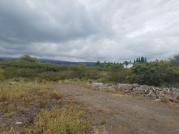 4th image of LOT One #A