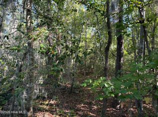 0 Eagle View Ln LOT 17, Blounts Creek, NC 27814