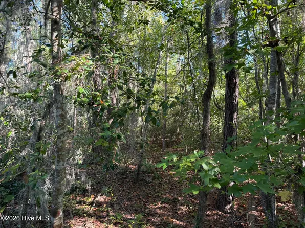 0 Eagle View Lane LOT 17, Blounts Creek, NC 27814