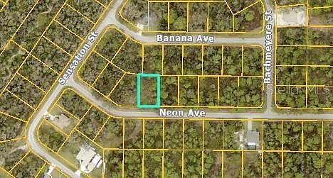 2nd image of NEON AVENUE LOT 14
