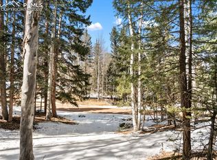 358 Pawutsy Rd, Florissant, CO 80816