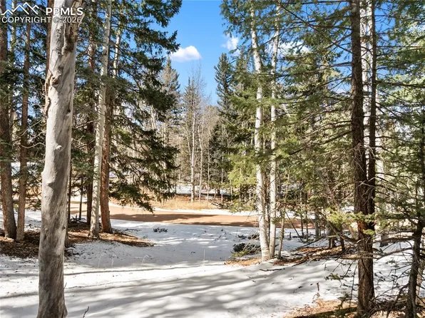 358 Pawutsy Rd, Florissant, CO 80816