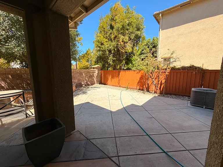 Back Yard