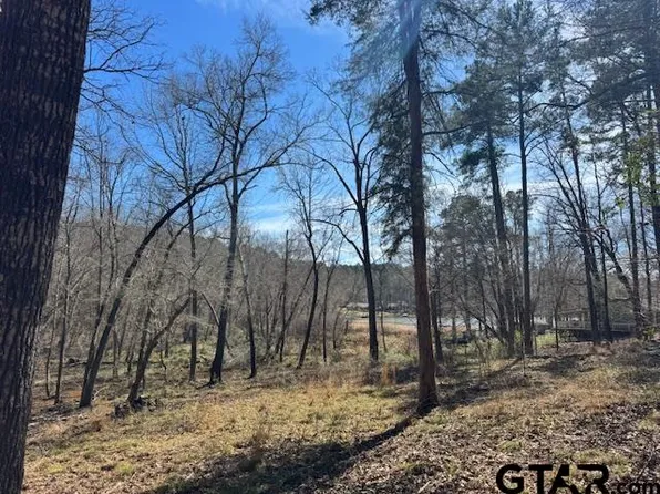 0 An County Rd #319, Frankston, TX 75763