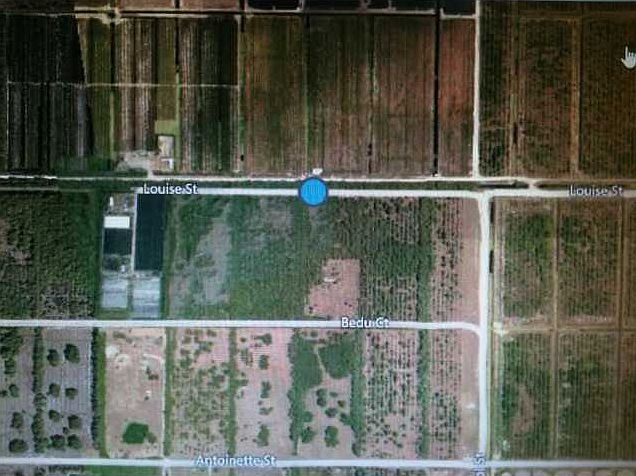 1st image of 20500 Louise St