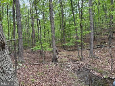 81 Brandy Rd, Front Royal, VA, 22630