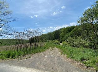 91 Tunnel Rd, Pt Crane, NY 13833