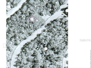 2141 W Andromedae Dr, Citrus Springs, FL 34434