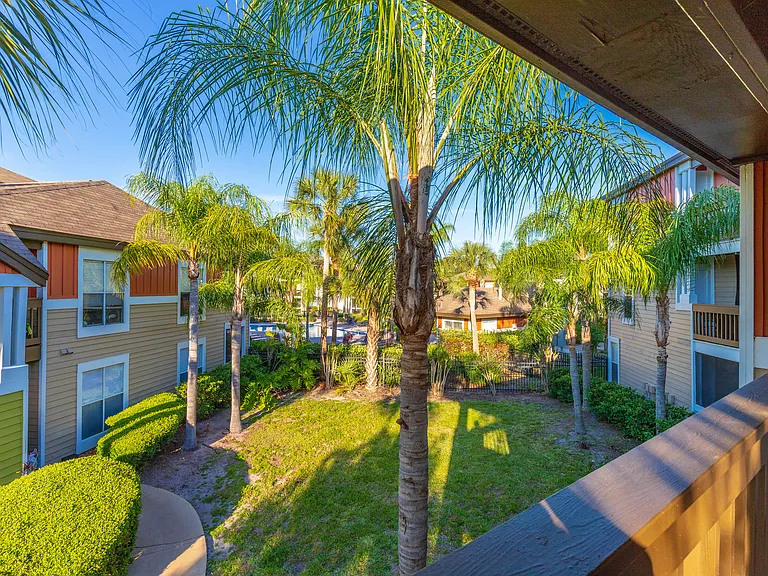 Palm Cove Apartments — Photo 34