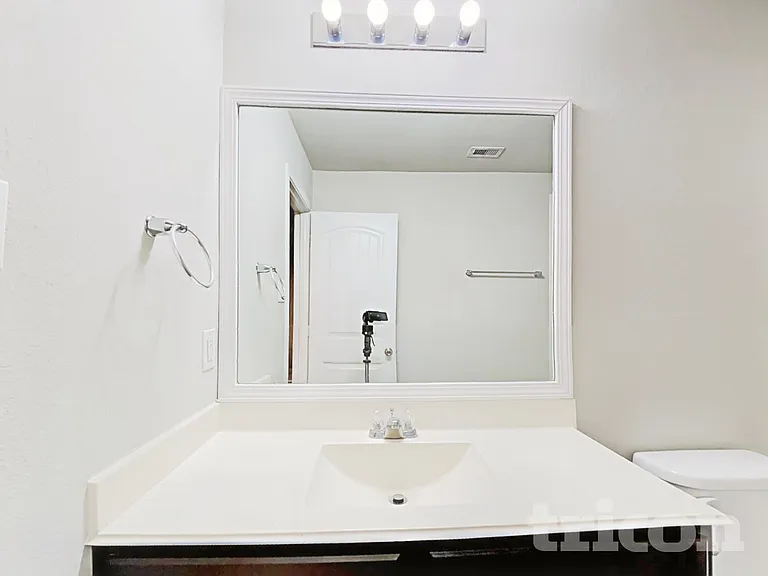 423 Ashley Falls Ln — Photo 11