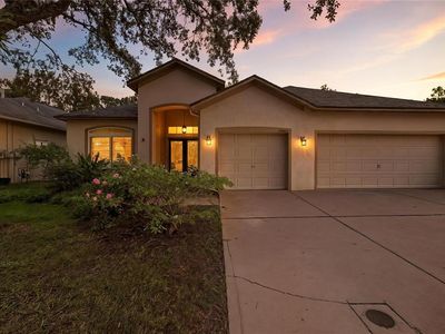 19213 Pelican Ridge Ln, Tampa, FL, 33647