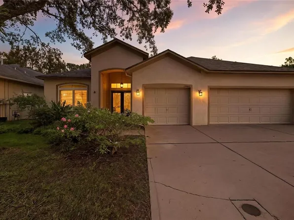 19213 Pelican Ridge Ln, Tampa, FL 33647
