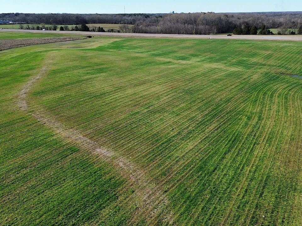 Dji Fly 20250317 162938 196 1742247057225 Photo Optimized