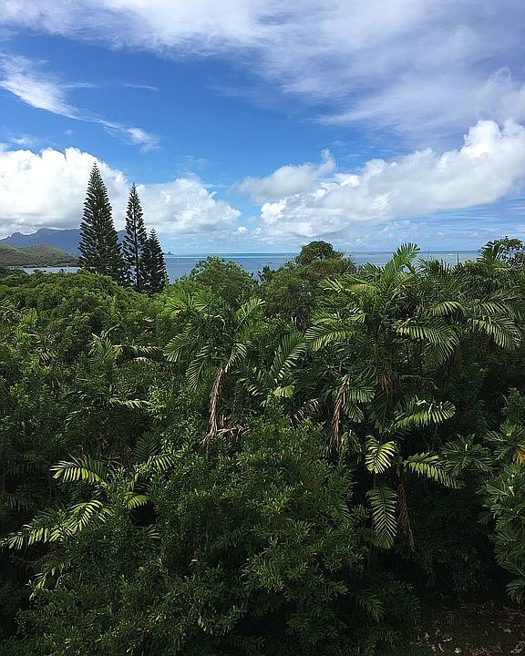 Balcony view of ocean 