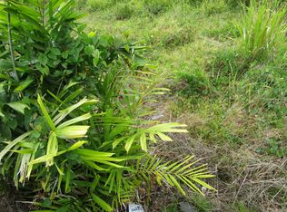 LOT 3 A, Pepeekeo, HI 96783