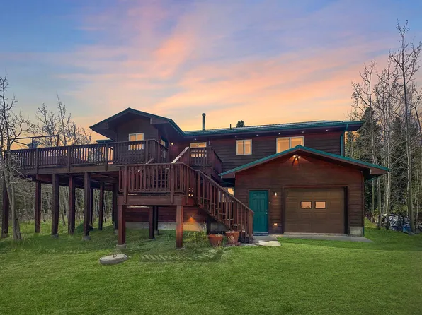 46 Timothy Ct, Fairplay, CO 80440