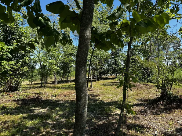 34598 Huston Rd Tract 5, Wilkesville, OH 45695