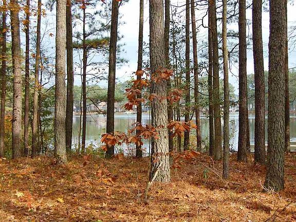 2nd image of 795 Daphne Ln