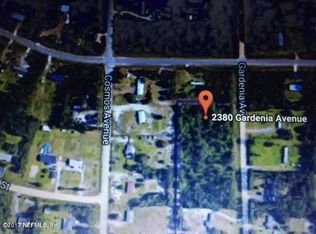 2380 Gardenia Ave, Middleburg, FL 32068