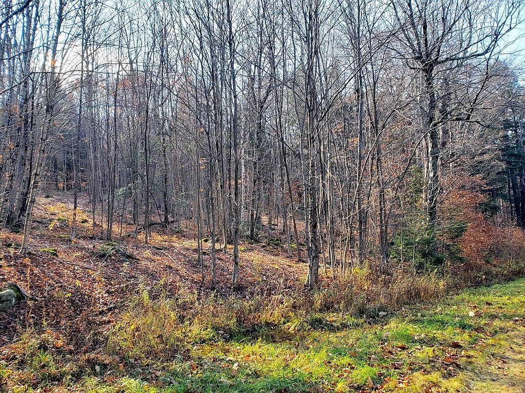 0 N Blandford Rd, Otis, MA 01253 MLS 73178134 Zillow