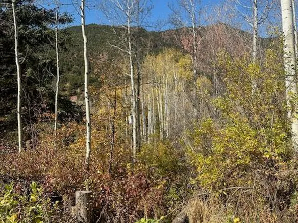 349 Crystal Cir, Carbondale, CO 81623