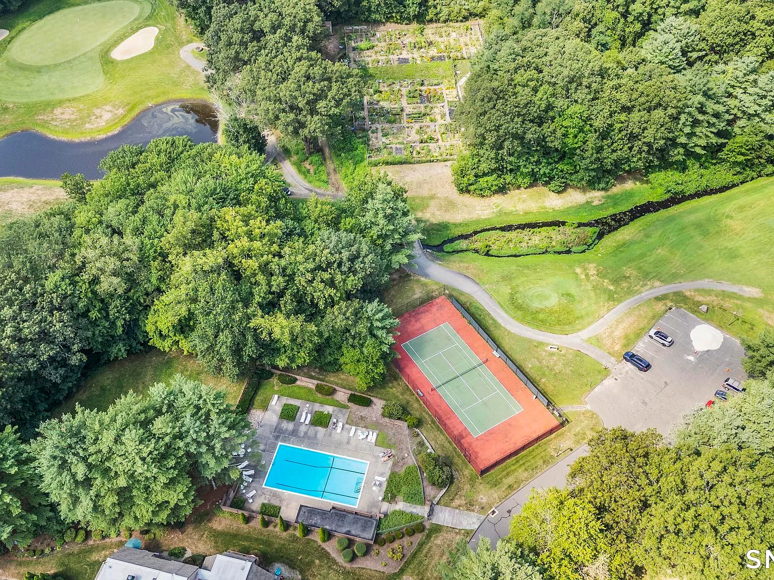Farmington Woods — Photo 4